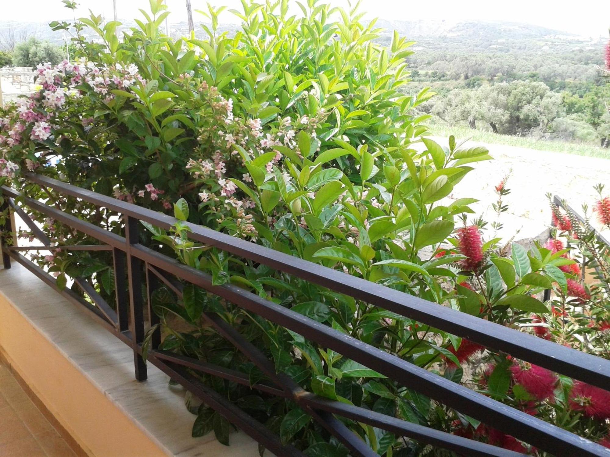 Helidonia Villas Pigí Δωμάτιο φωτογραφία